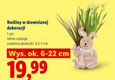 dekoracje drewniane