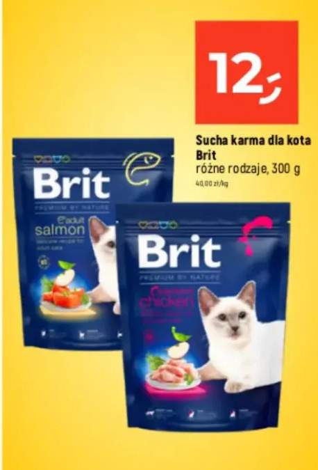 Sucha karma różne rodzaje