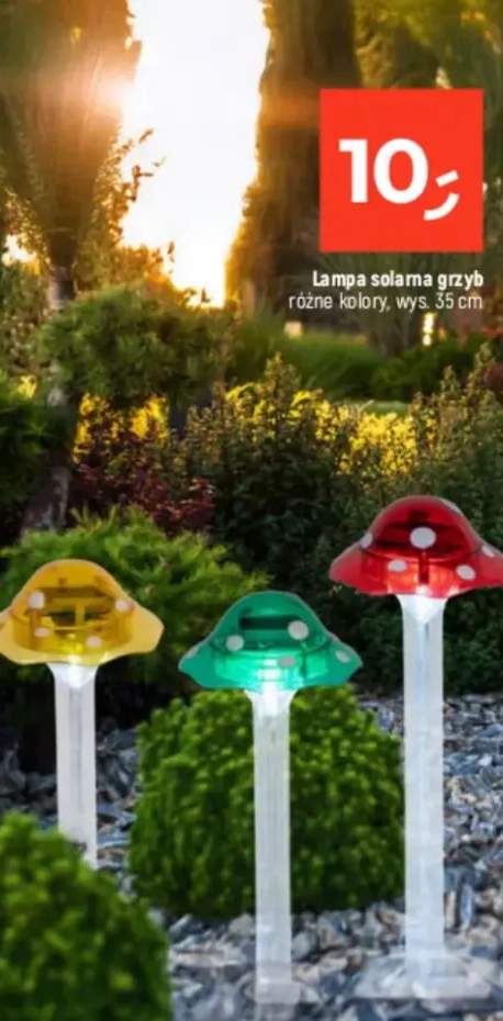 Lampa solarna grzyb różne kolory