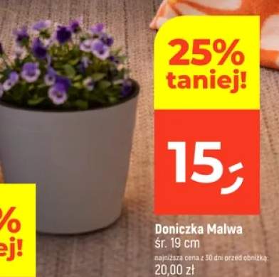 Doniczka Malwa śr. 19cm