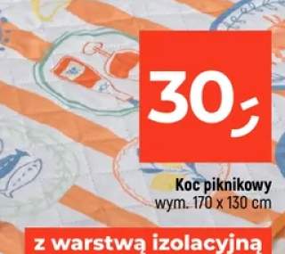 Koc piknikowy