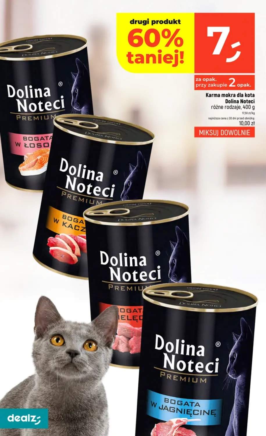 Karma mokra dla kota Dolina Noteci Premium bogata w łososia