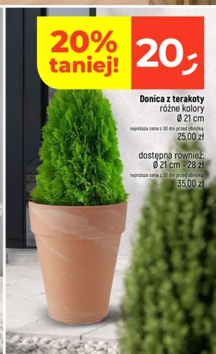 Donica z terakoty Ø 21 cm +1 wariant
