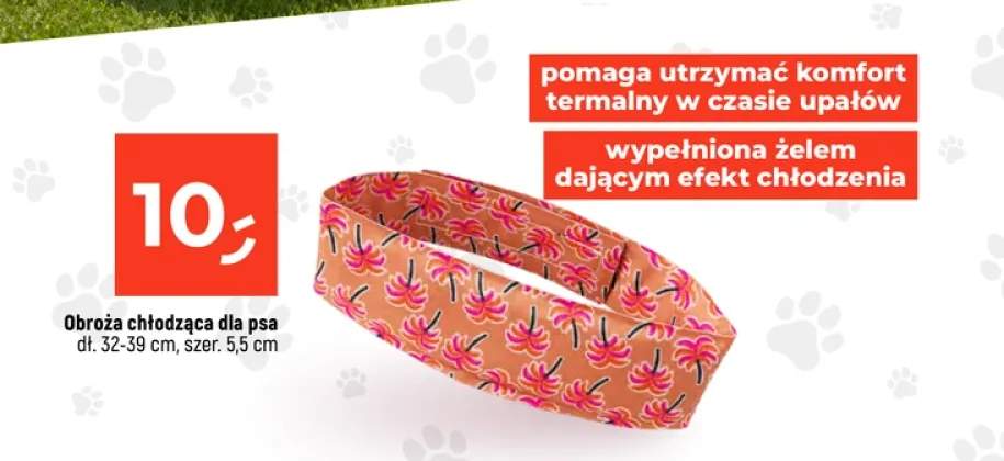 Obroża chłodząca dla psa