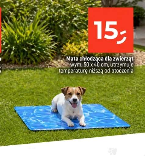 Mata chłodząca dla zwierząt