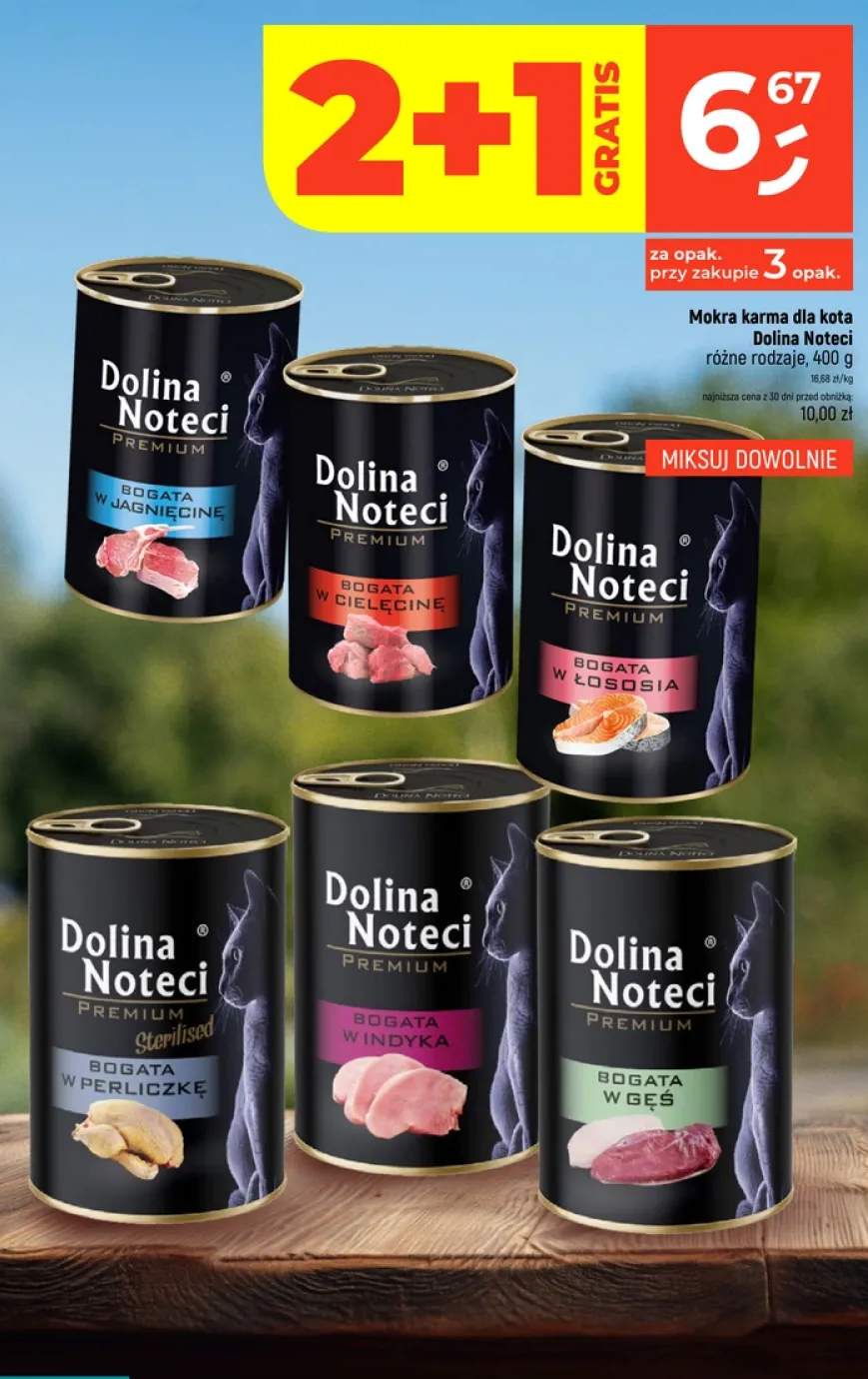 Mokra karma dla kota Dolina Noteci Premium bogata w łososia +1 wariant