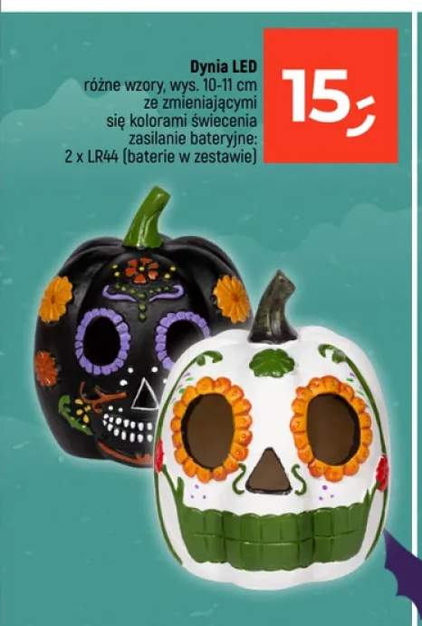 Dynia LED wys. 10-11 cm