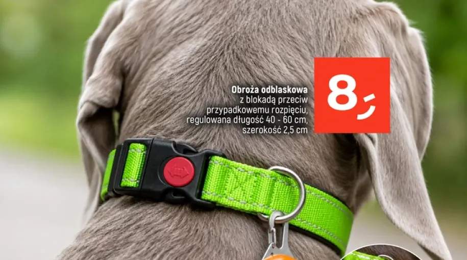 Obroża odblaskowa z blokadą przeciw przypadkowemu rozpięciu