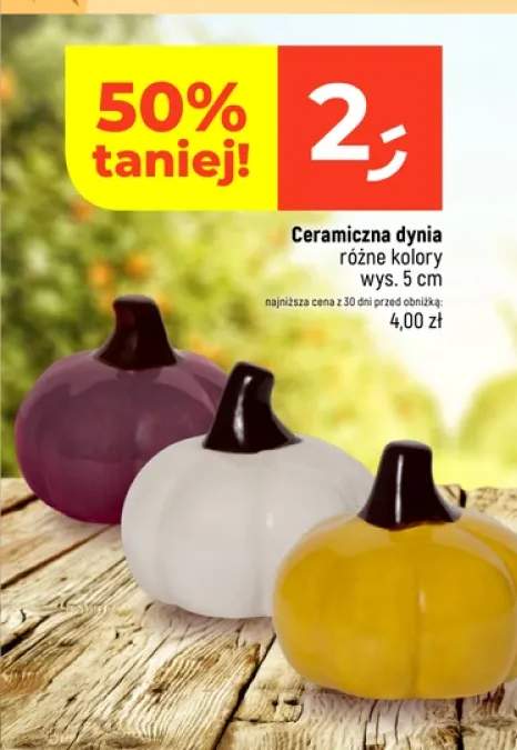 Ceramiczna dynia