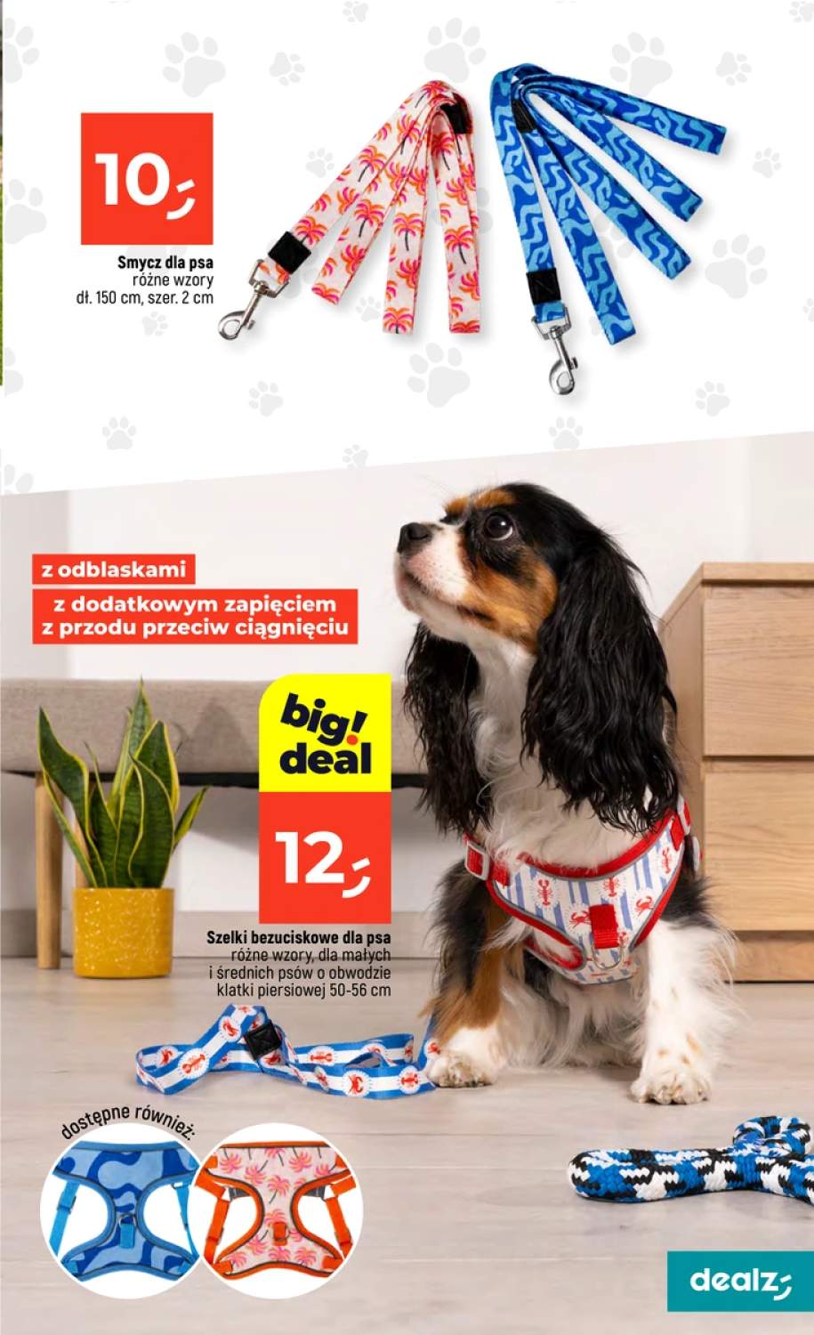 Gazetka – strona 37